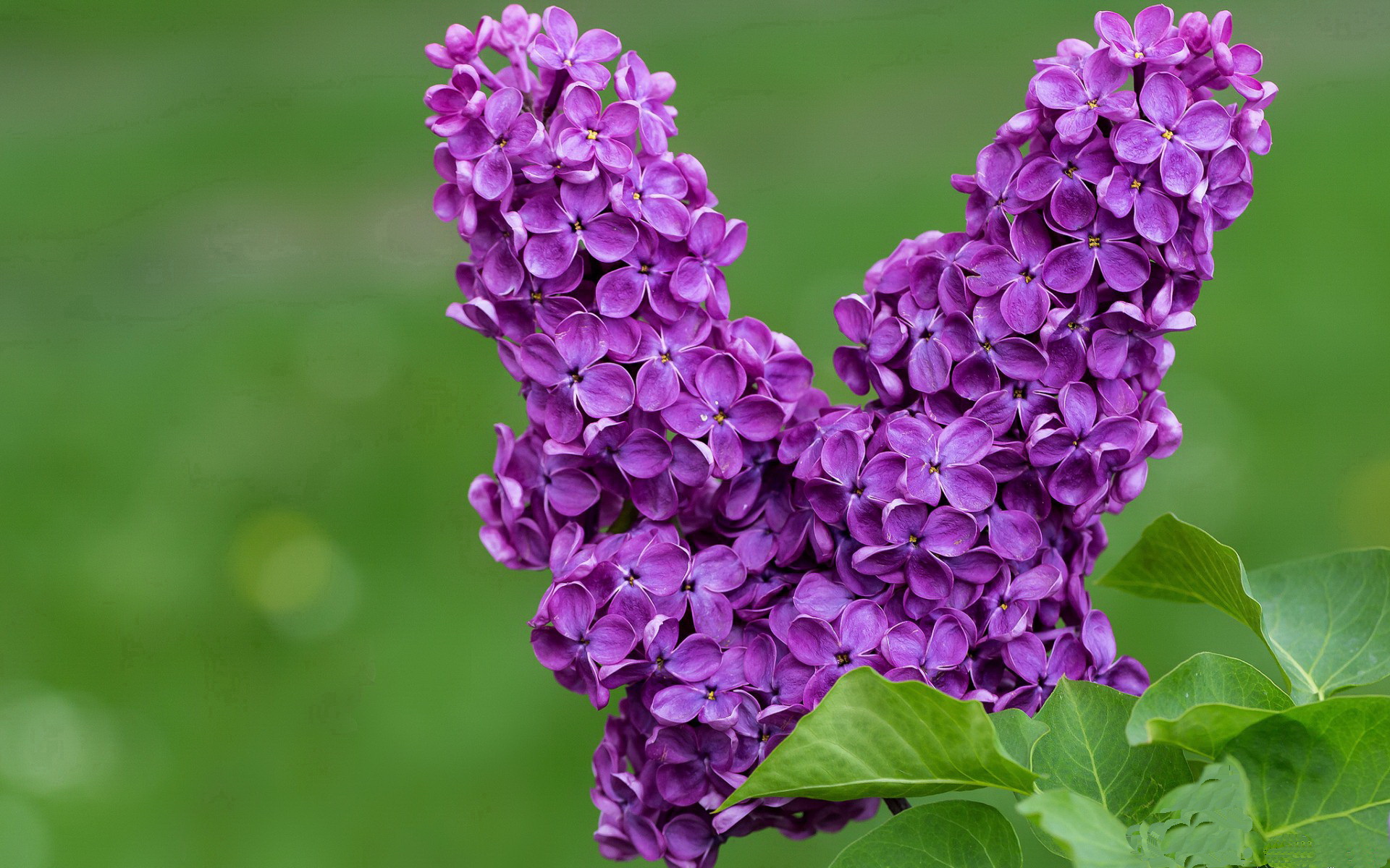 绝杀时刻，红牛二队逆袭雷诺，勒克莱尔独扛大旗