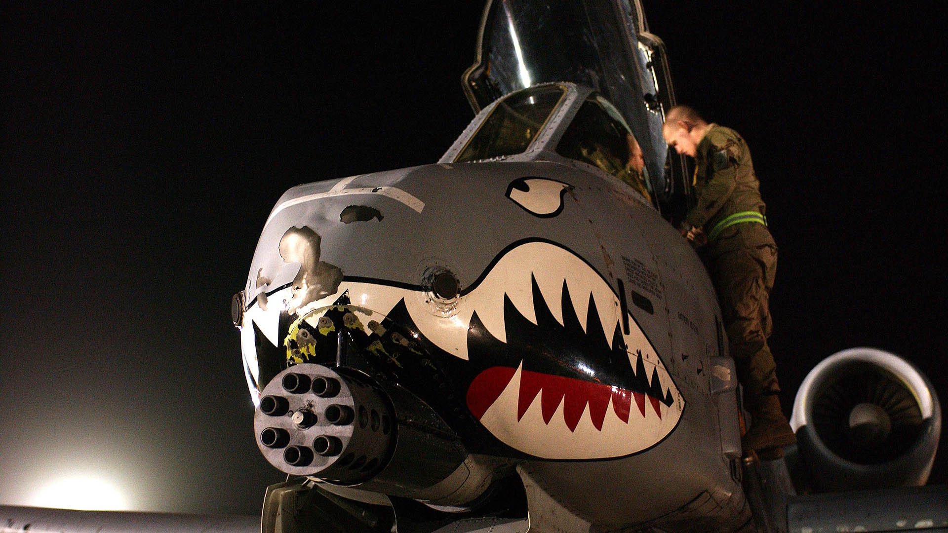 篮网对决森林狼之夜，塔图姆的意外客串与个人能力展演