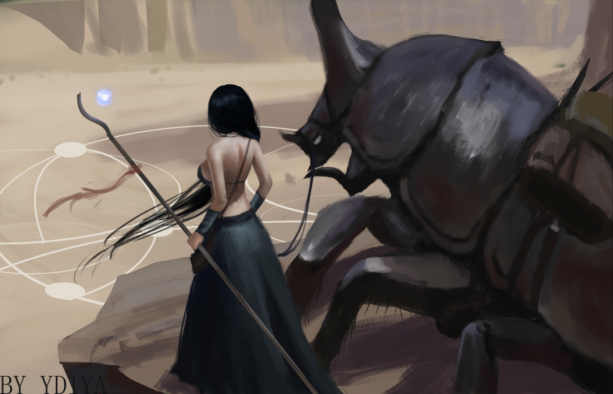 铁蹄与上帝，当骑士的偶然性遭遇约基奇的确定性