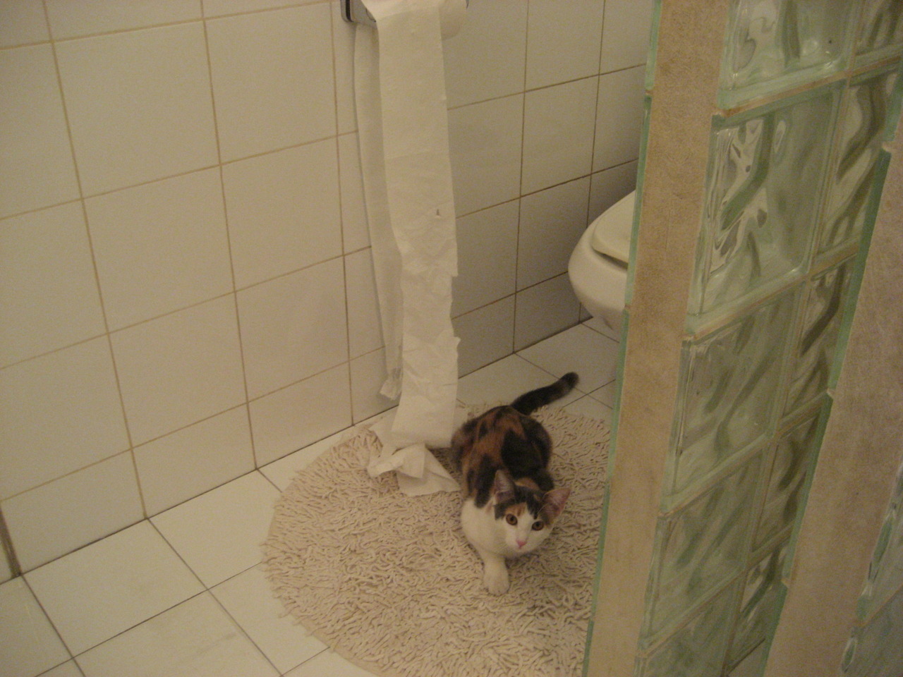 从甲A最后的奇迹到当代抢七天赋之战,两段篮球史上的唯一时刻