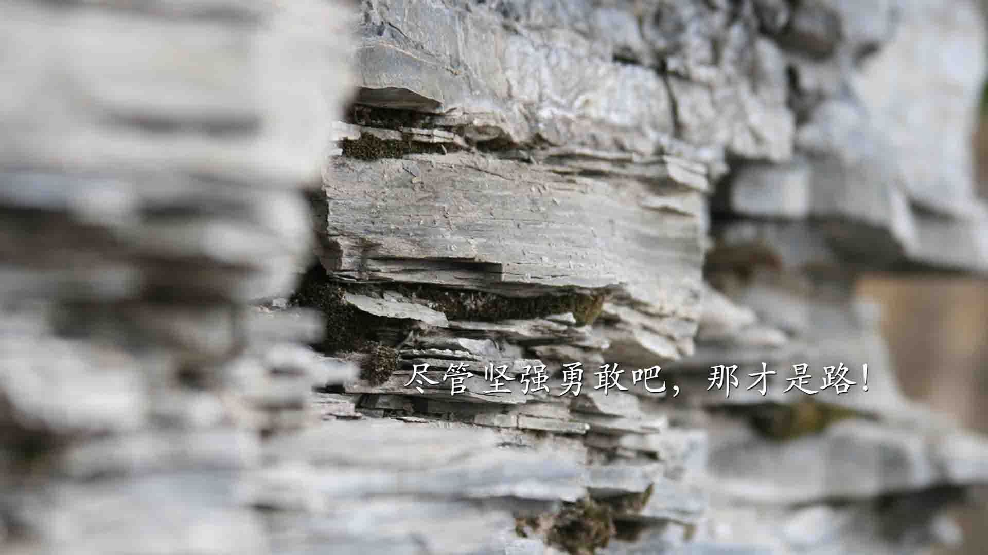 暗夜灯塔，阿尔瓦雷斯在巴西对阵安哥拉的关键时刻，以唯一性照亮胜利航路