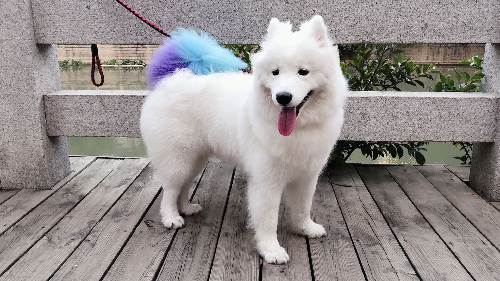 逆转，总是在最意想不到的时刻发生