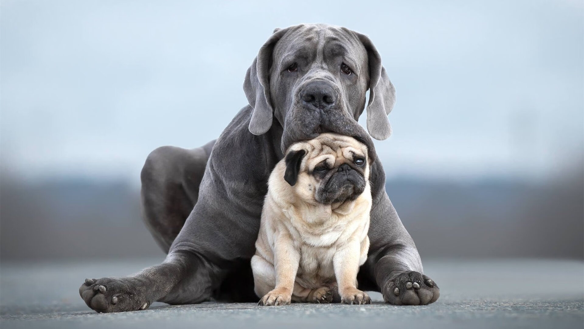 欧冠半决赛之夜,佩德里燃烧时间的十分钟,如何照亮了未来