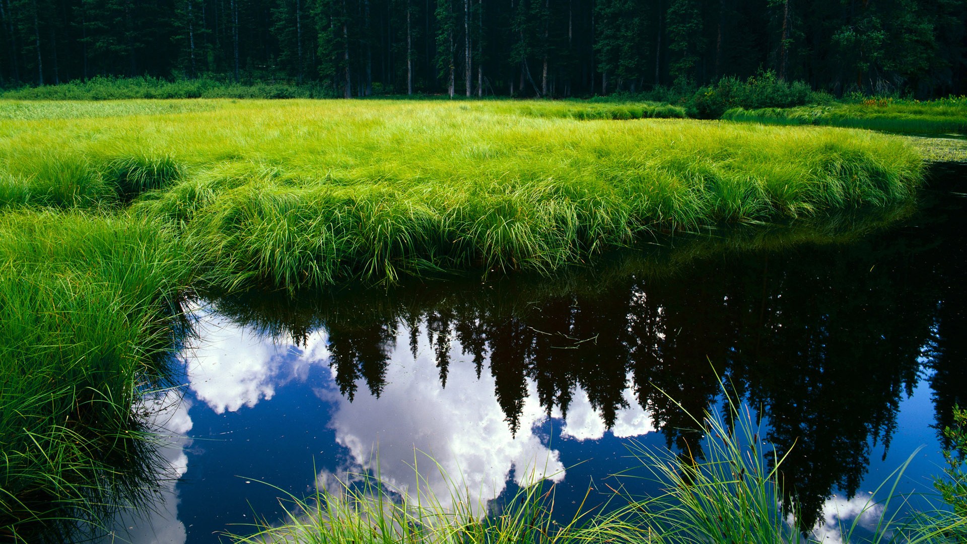 塔图姆跨界爆发!尼克斯对阵掘金中连续得分拉开差距,引爆全场