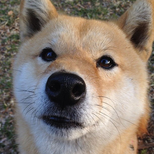 当新星在波士顿升起，拉梅洛逆转太阳闪耀北美夜