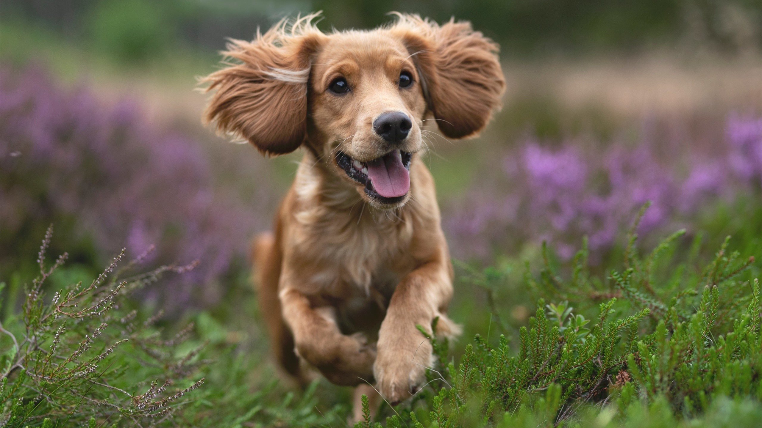 库里末节三分雨肆虐,76人客场强势冲垮广厦队