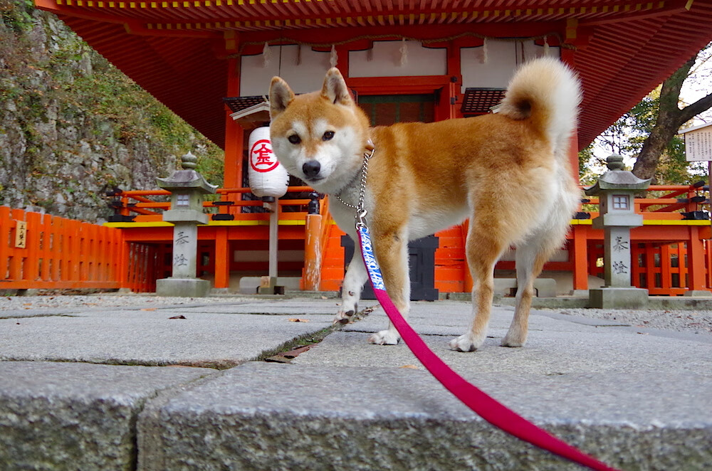冰冷三分雨浇灭魔术,新疆队强行终局终结魔咒