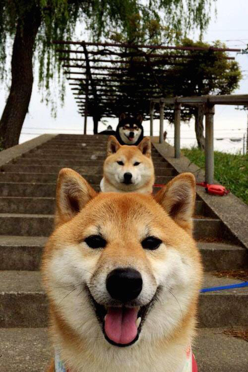 倒流河上的斗牛士,当塞维利亚之夜遇见法比尼奥的记忆