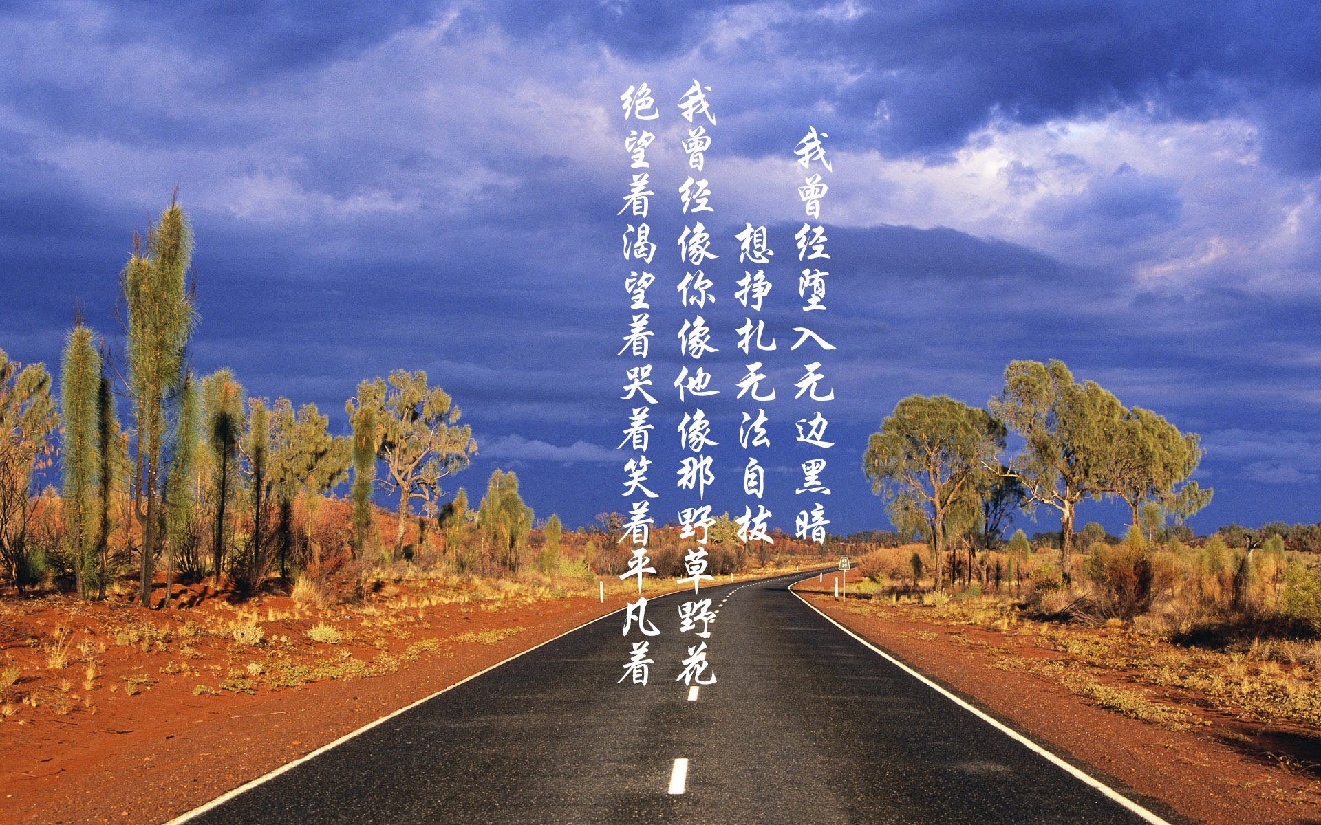 橙衣军团的逆向革命，2026世界杯D组焦点战，荷兰如何用防守反击击碎葡萄牙的黄金之梦