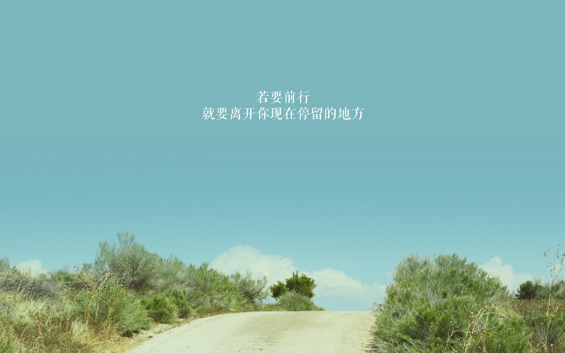 孤星闪耀,2026世界杯D组生死战,葡萄牙绝境破罗马尼亚,德容以一人之力改写命运