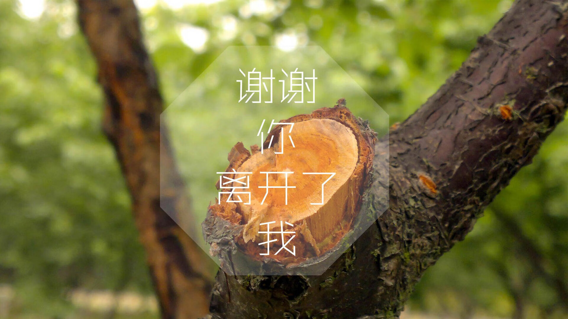 宿命的弧线,2026世界杯预演历史重演,阿联酋绝杀越南,格列兹曼在沙漠中点亮法兰西之光