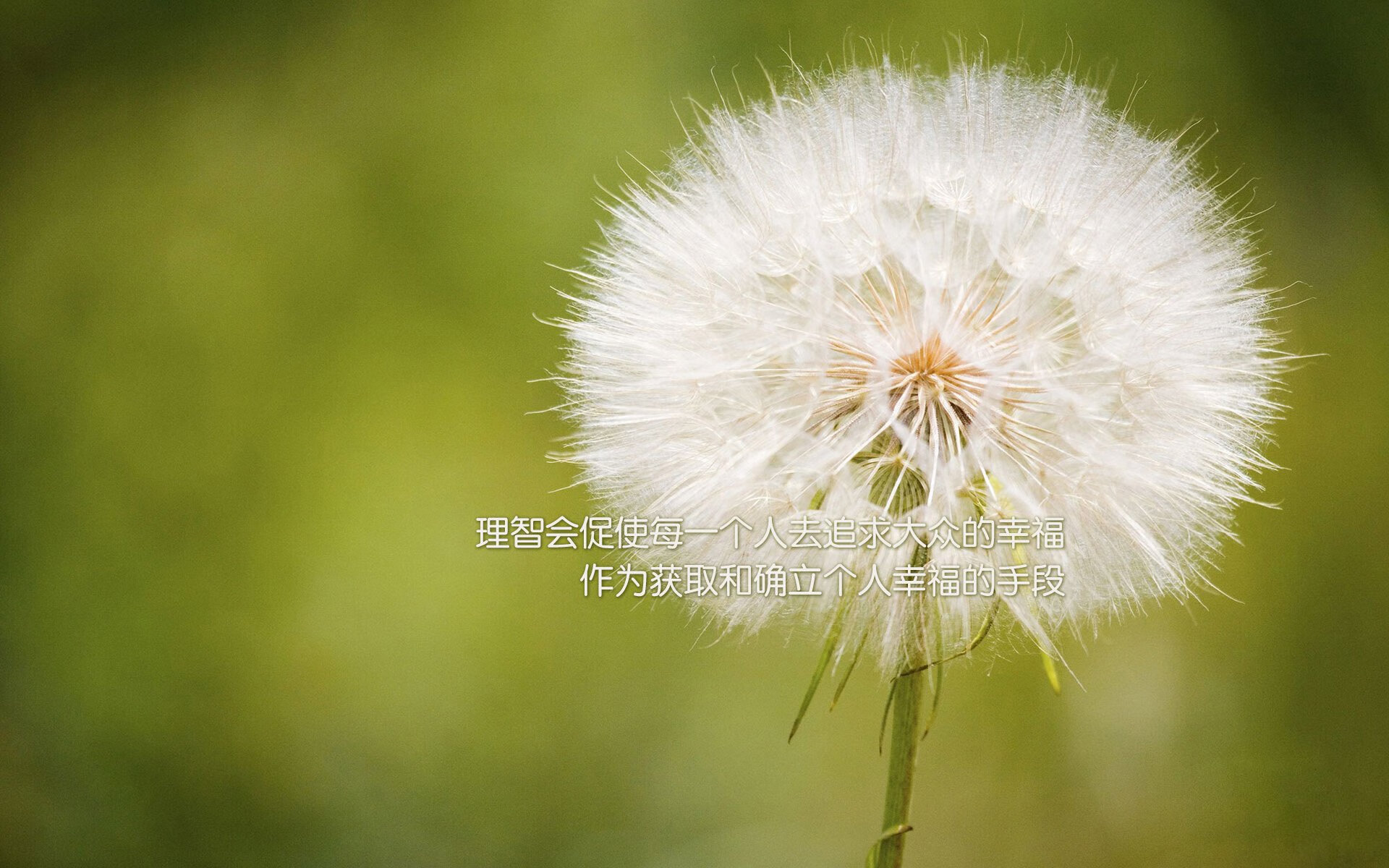 孤峰独峙，当哈兰德的光芒，照亮A组最残酷的唯一